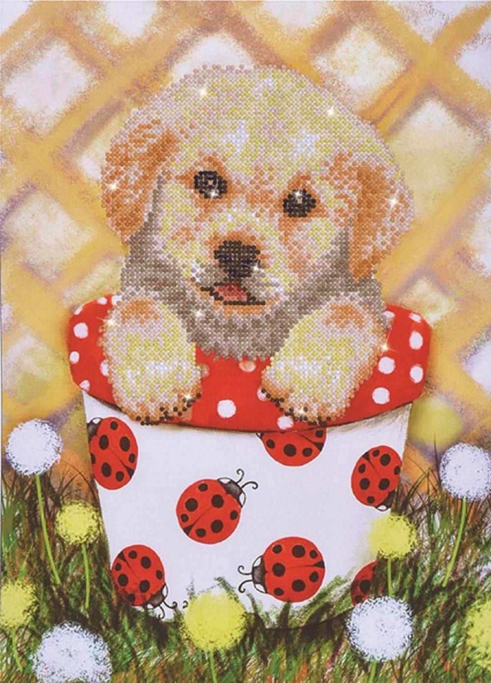 Diamond Dotz Pup in a pot (Diamond Dotz)